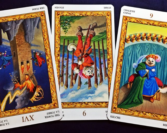 【乙女座】2017年8月14日〜8月20日運勢