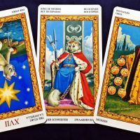 【魚座】2017年8月7日〜8月13日運勢