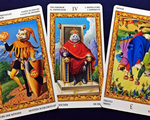 【獅子座】2017年11月13日〜11月19日運勢