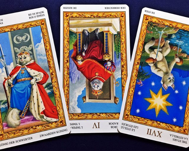 【魚座】2017年12月18日〜12月24日運勢