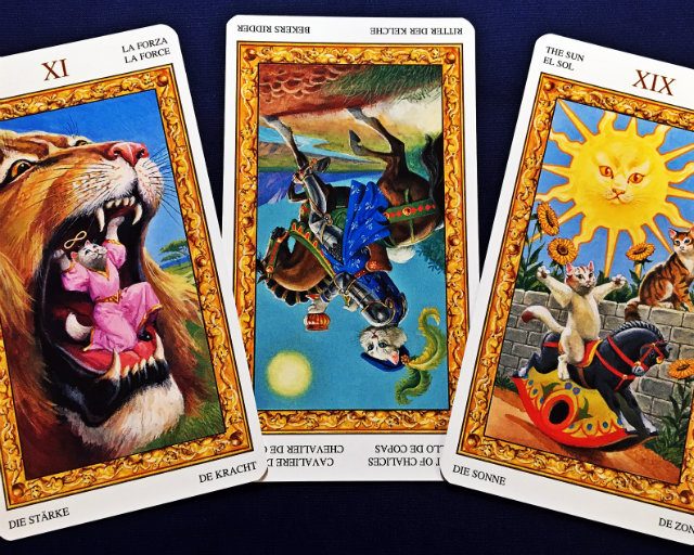 【水瓶座】2017年12月11日〜12月17日運勢