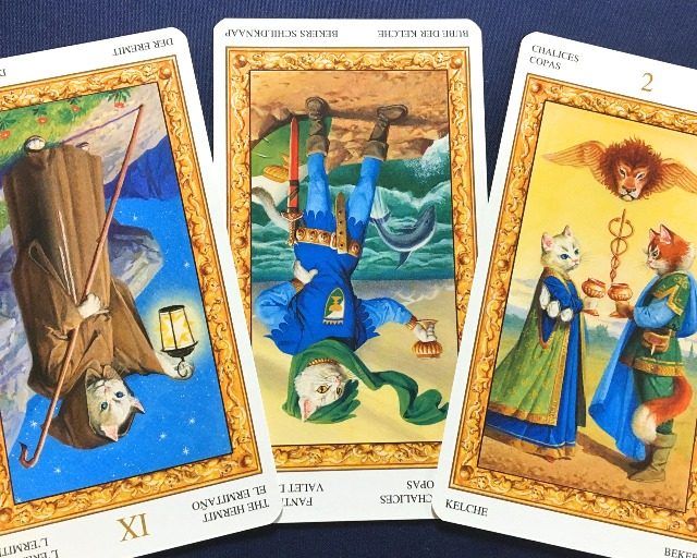 【牡牛座】2018年1月22日〜1月28日運勢