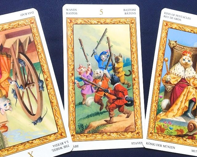 【水瓶座】2019年2月25日〜3月3日運勢