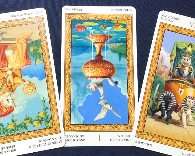 【獅子座】2019年7月1日〜7月7日運勢