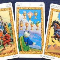 【射手座】2019年8月19日〜8月25日運勢