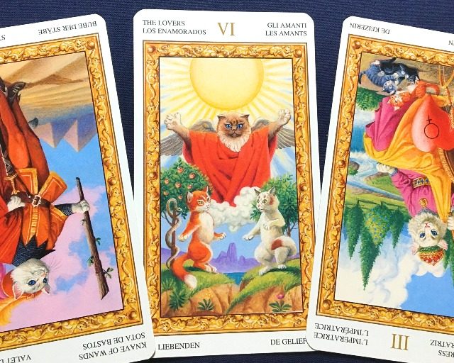 【山羊座】2019年9月23日〜9月29日運勢