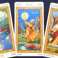 【蠍座】2020年11月9日〜11月15日運勢