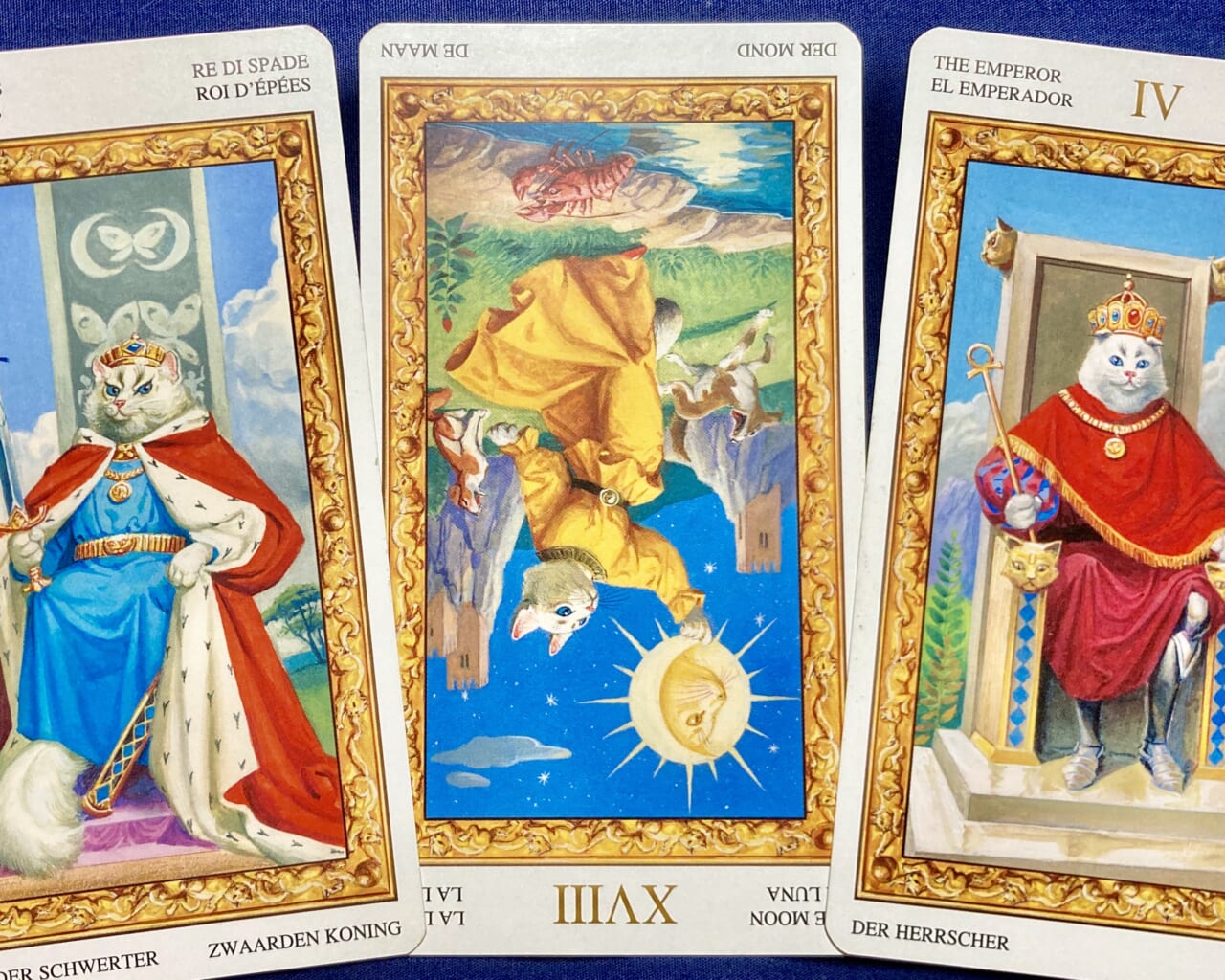 【水瓶座】2021年8月16日〜8月22日運勢