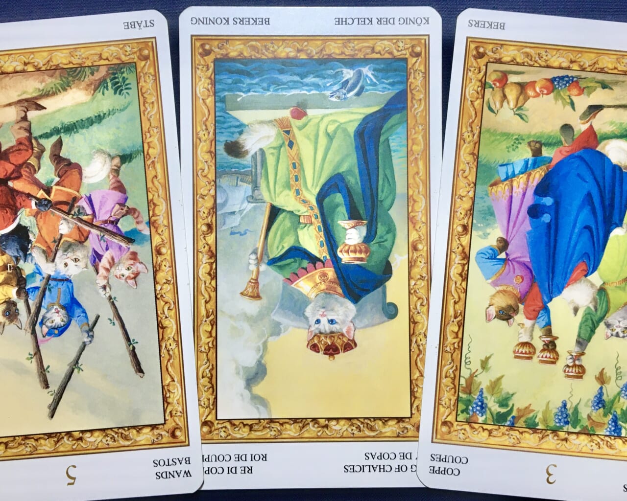 【蟹座】2021年11月8日〜11月14日運勢