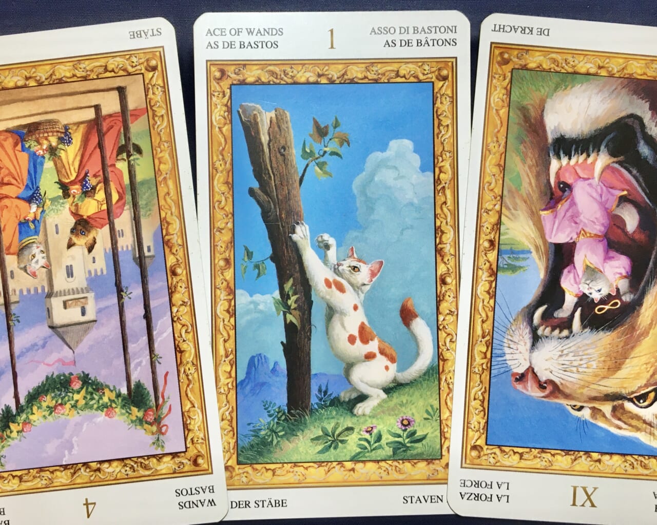 【天秤座】2022年6月20日〜6月26日運勢