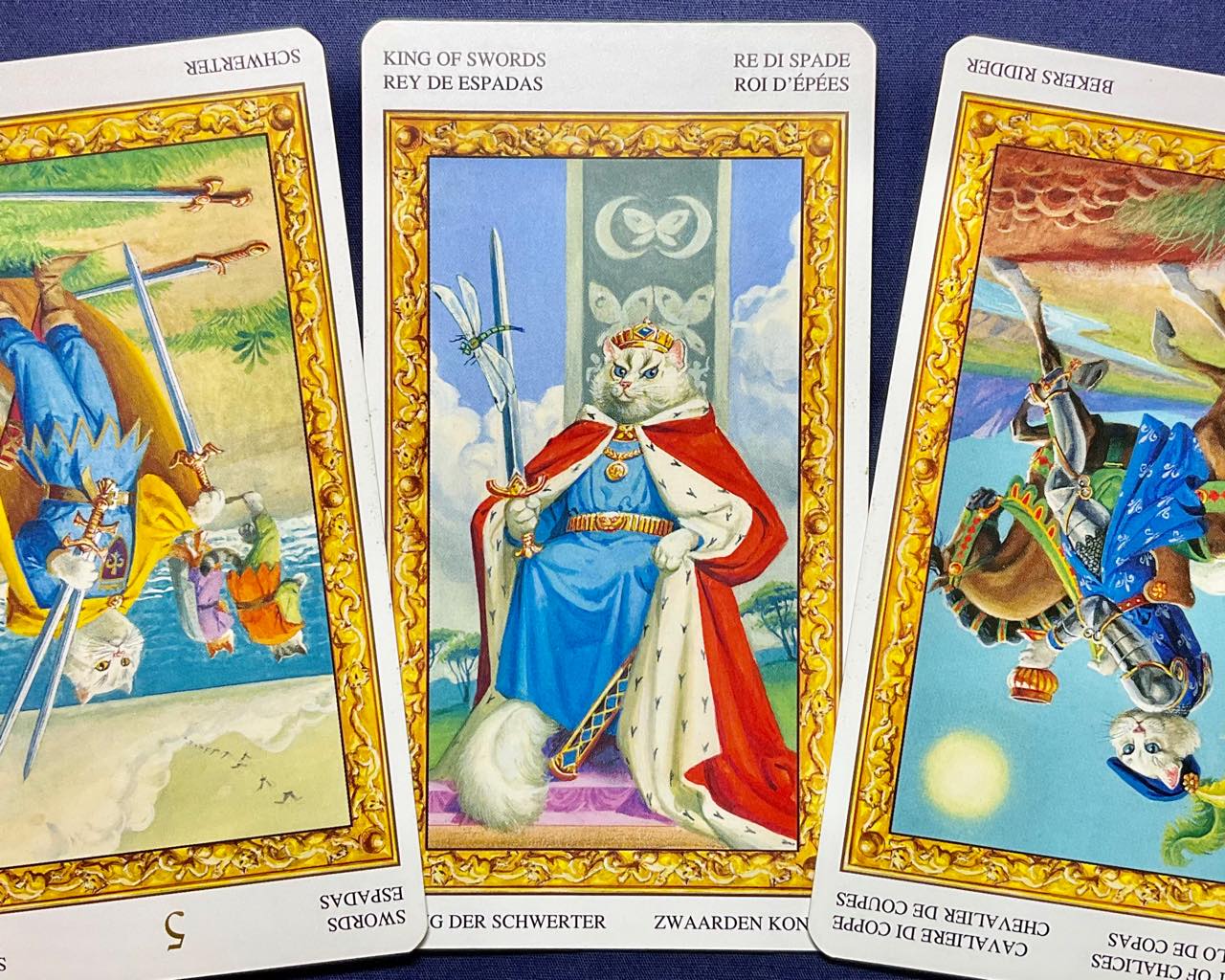 【蠍座】2023年1月2日〜1月8日運勢