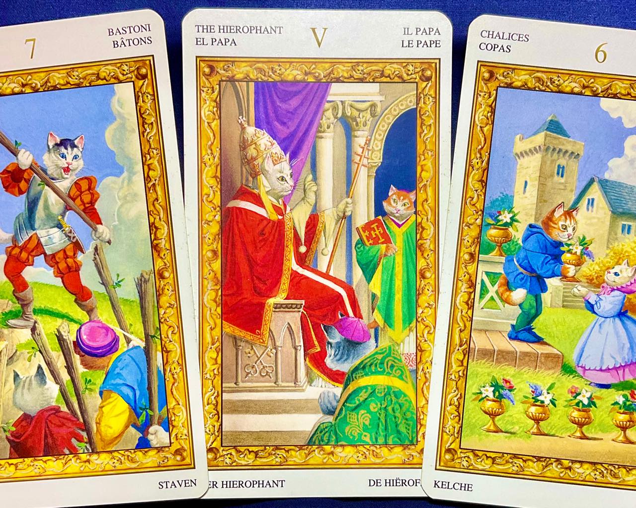 【獅子座】2023年2月13日〜2月19日運勢