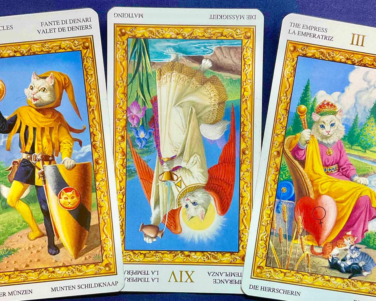 【山羊座】2023年4月10日〜4月16日運勢