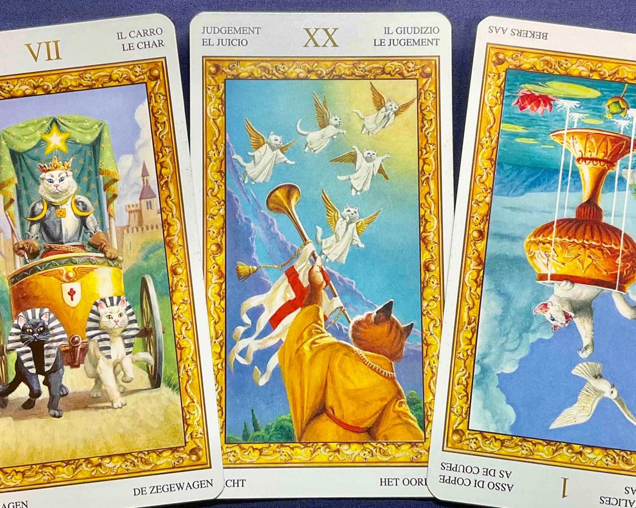 【蠍座】2023年3月13日〜3月19日運勢