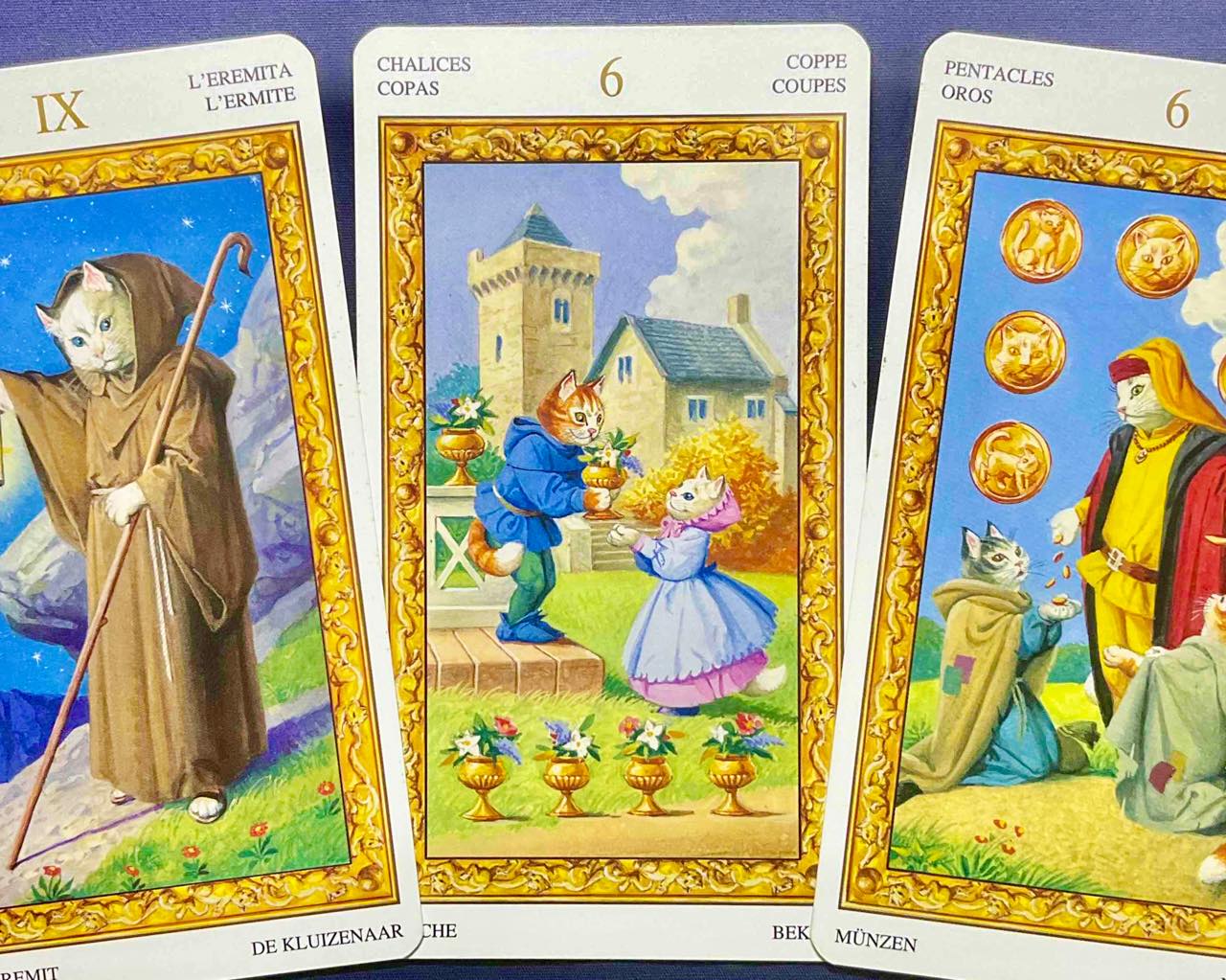 【獅子座】2023年6月5日〜6月11日運勢