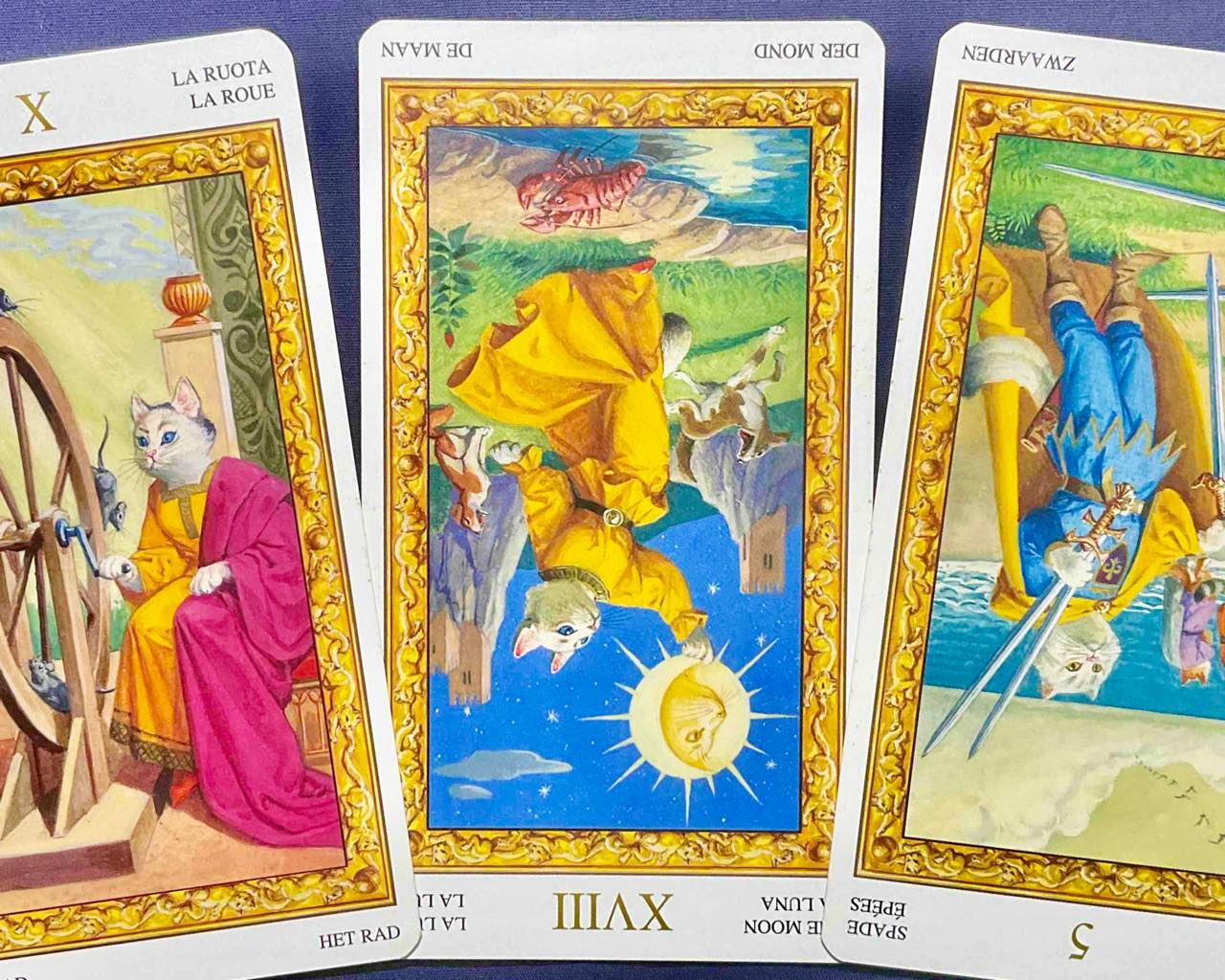 【射手座】2023年6月5日〜6月11日運勢