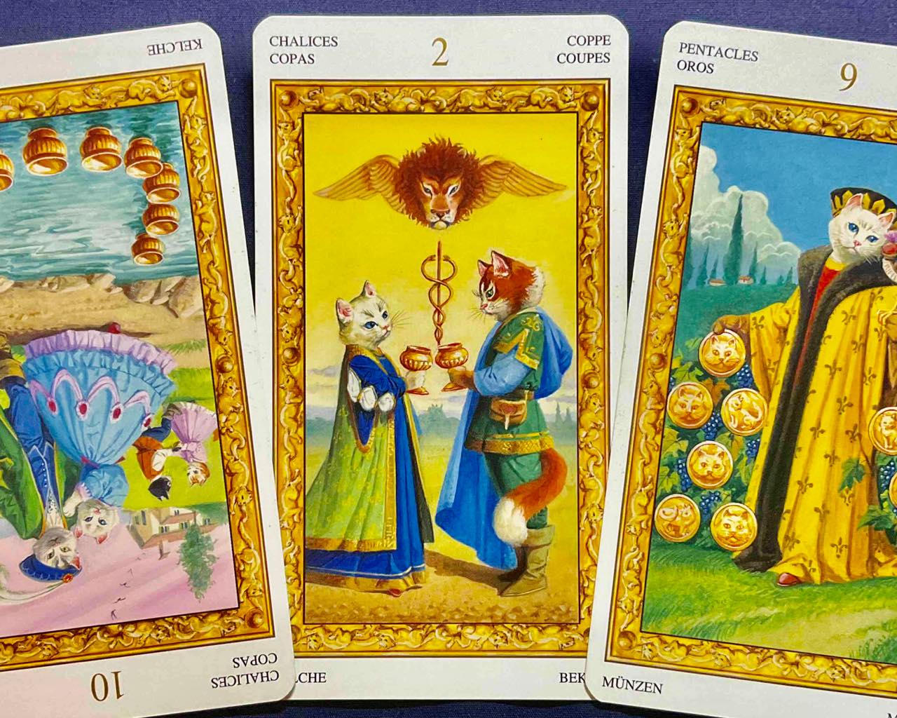 【獅子座】2023年6月26日〜7月2日運勢