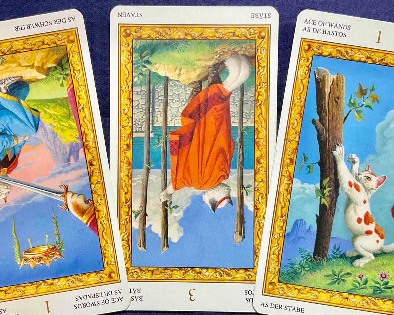 【獅子座】2023年8月21日〜8月27日運勢