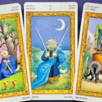 【獅子座】2024年1月15日〜1月21日運勢